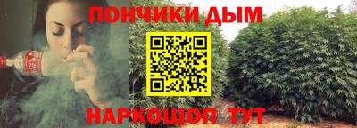 мдпв Жуковский