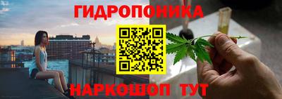 прущие крисы Изобильный